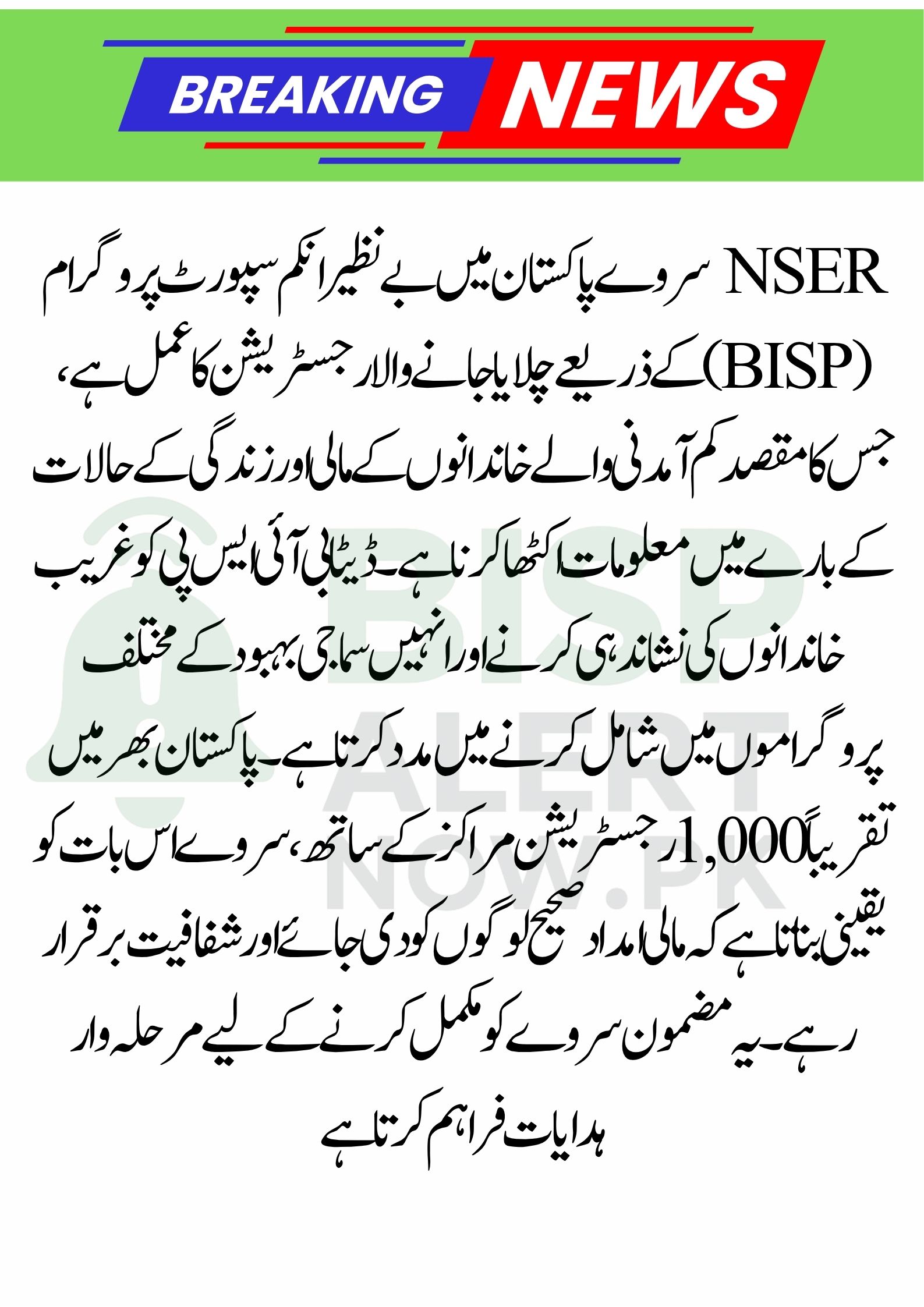 BISP NSER Survey