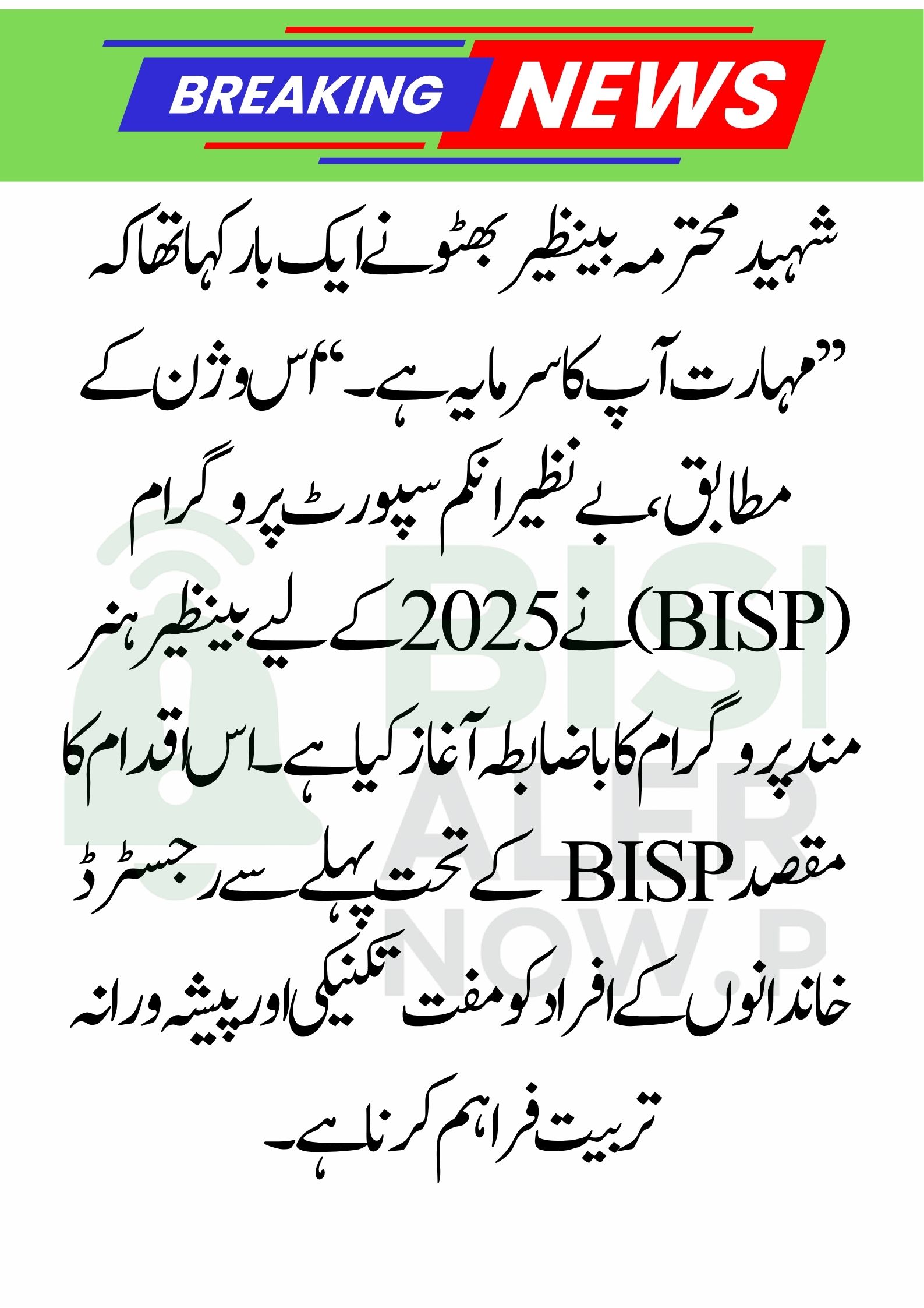 Benazir Hunarmand Program: